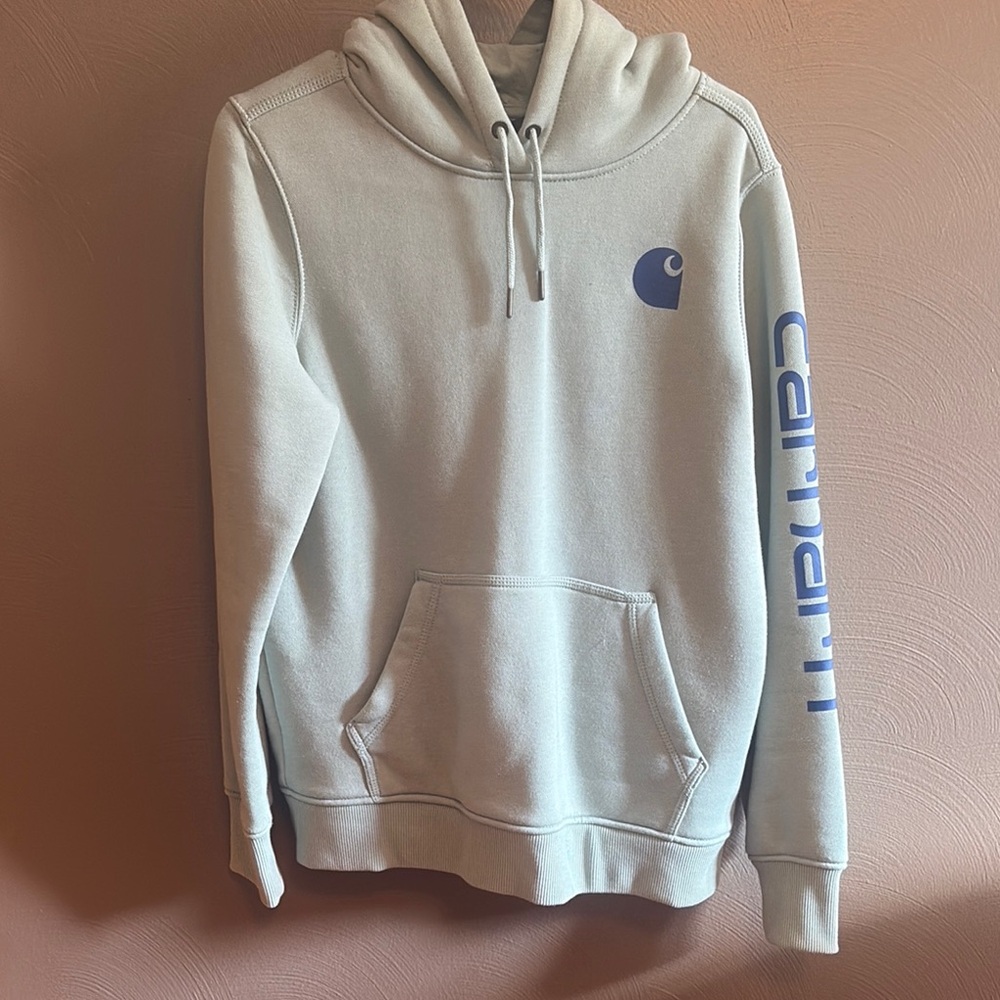 Carhartt Light Green Hoodie with Blue Accents